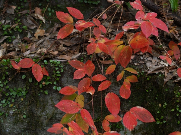 c0281841_141736.jpg