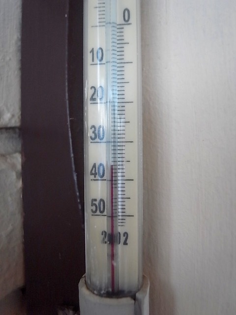 d0350542_00571869.jpg