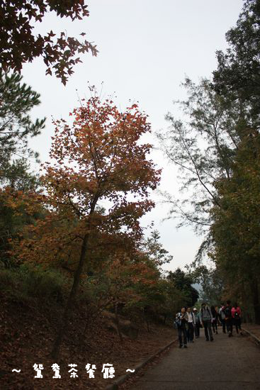 a0132659_12184938.jpg