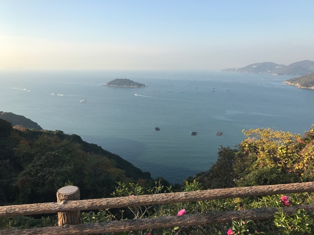 c0214359_235435.jpg