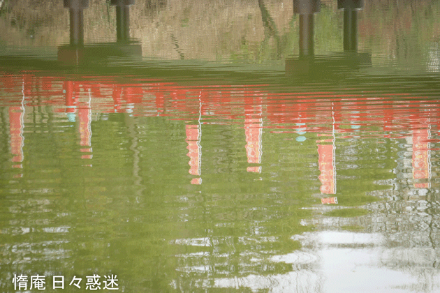 e0346064_19083250.gif