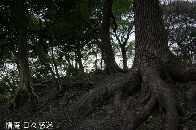 e0346064_19083269.gif
