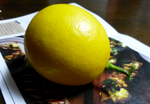 c0040472_16464978.jpg