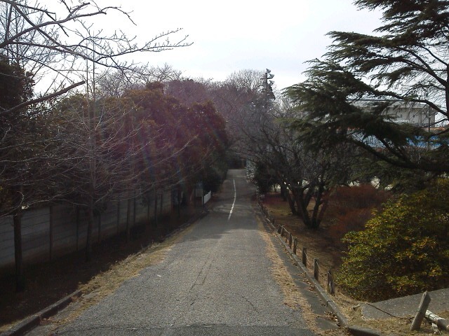 b0155973_00491418.jpg