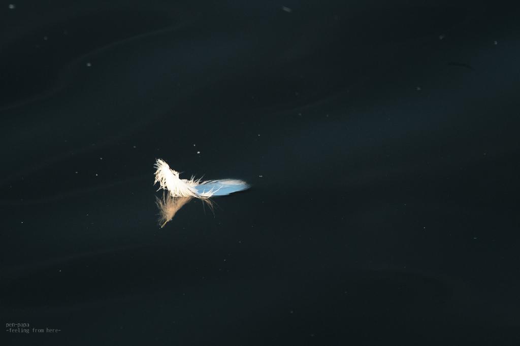 c0356480_16180196.jpg