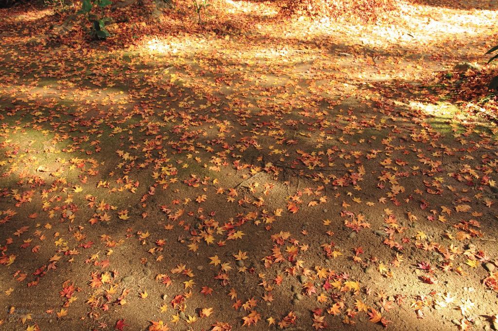 c0356480_16274525.jpg