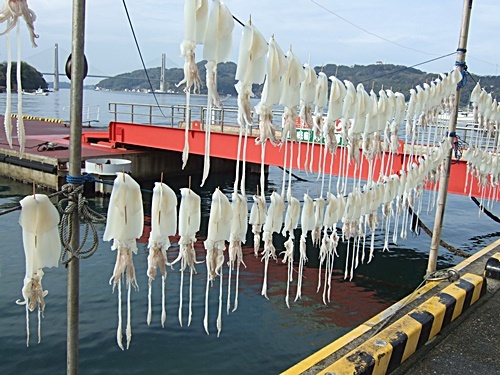 e0086885_16451693.jpg