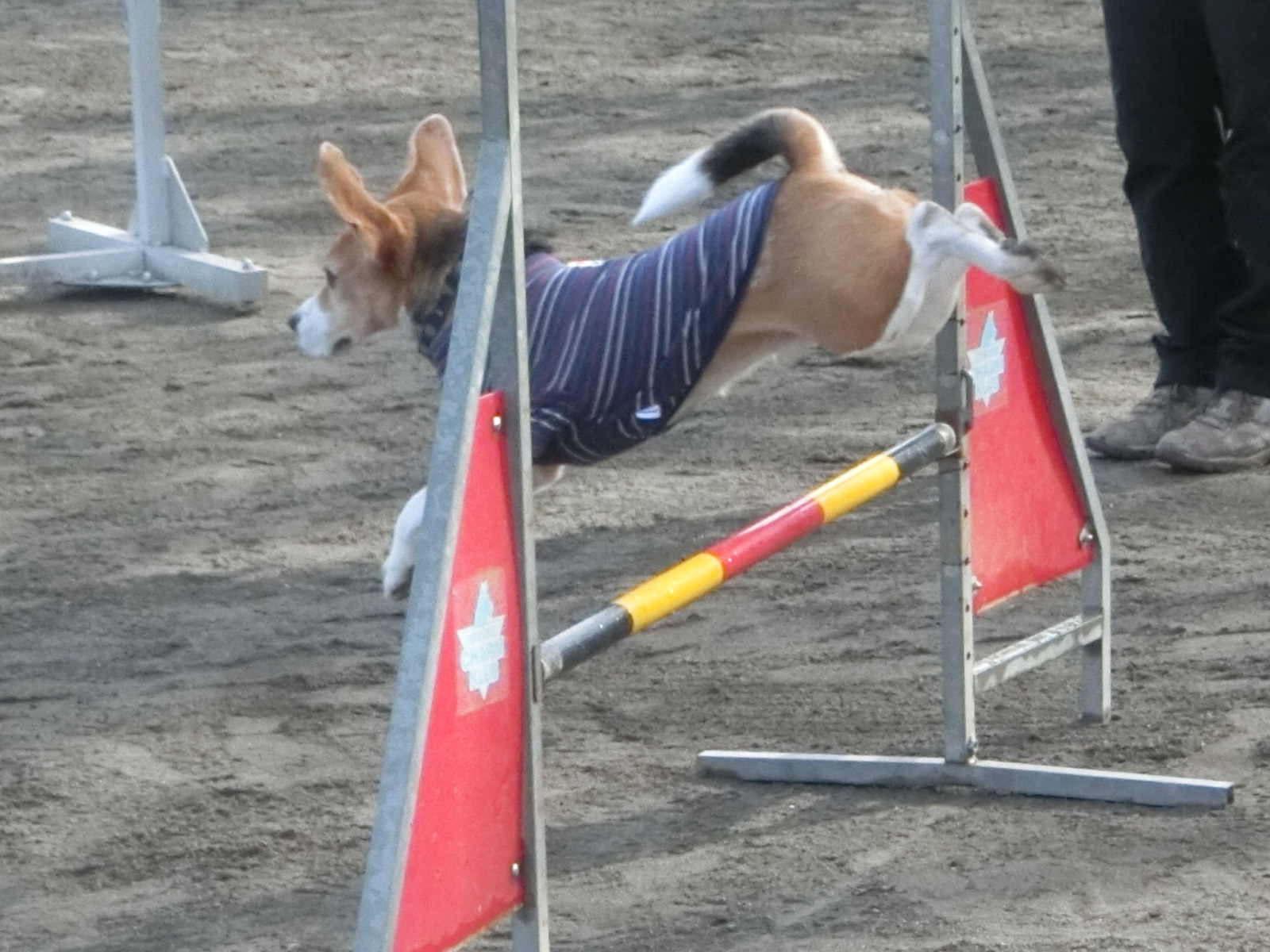 a0319693_92880.jpg