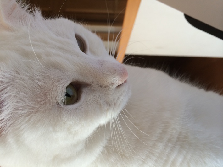 f0201297_10291574.jpg