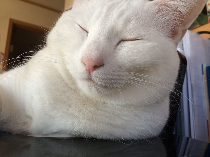 f0201297_10314079.jpg