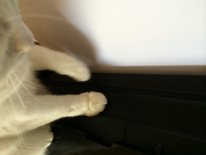 f0201297_1031556.jpg