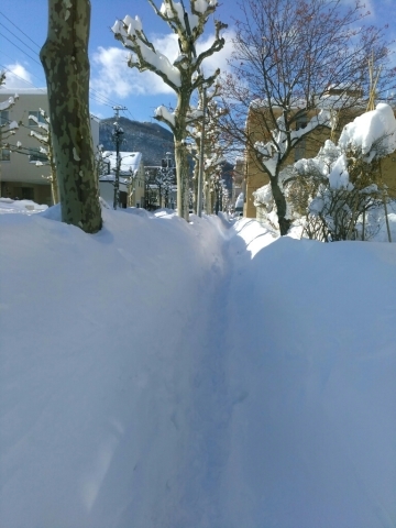 c0047207_22115105.jpg