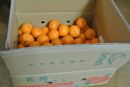 b0017215_18231015.gif