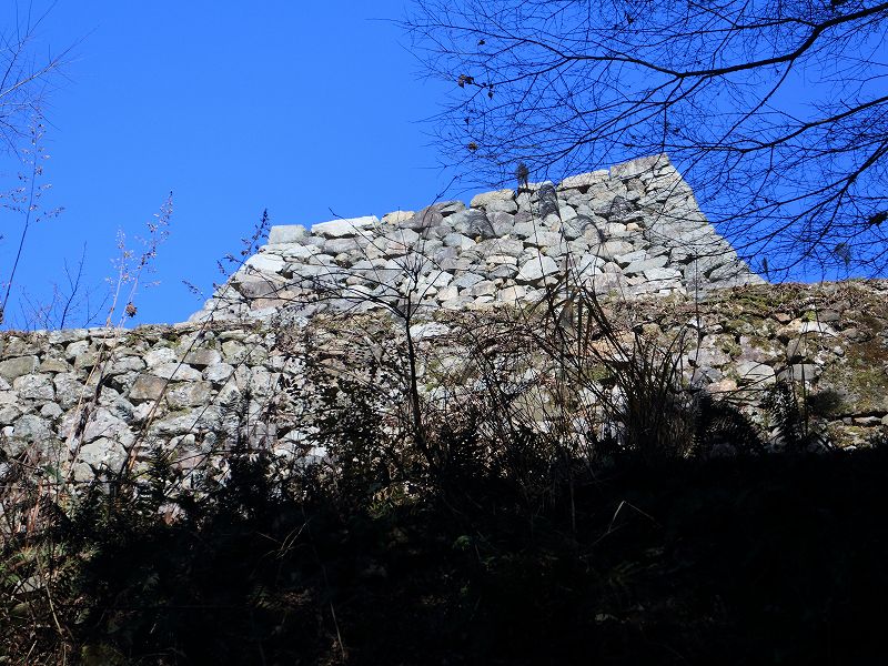 e0106724_3173478.jpg