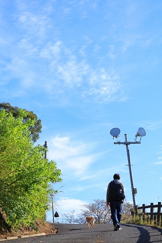 e0365036_16141306.jpg