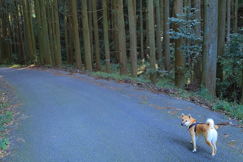 e0365036_16150330.jpg