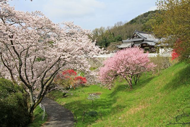 a0242438_22143976.jpg