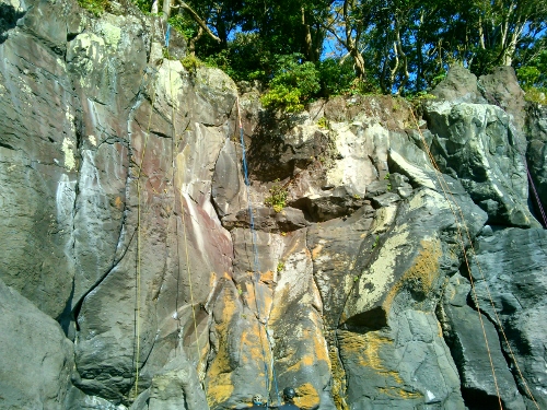 d0107938_1031294.jpg