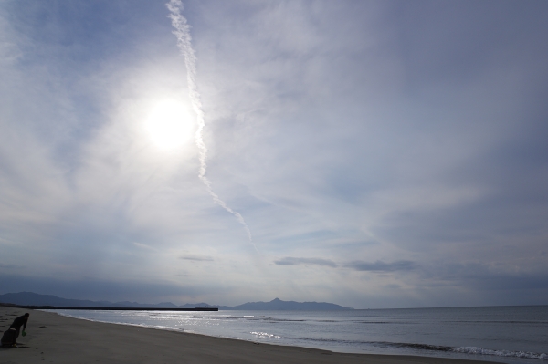 c0281841_1335869.jpg