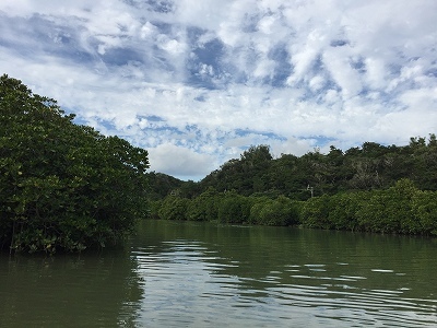 e0173645_23281663.jpg
