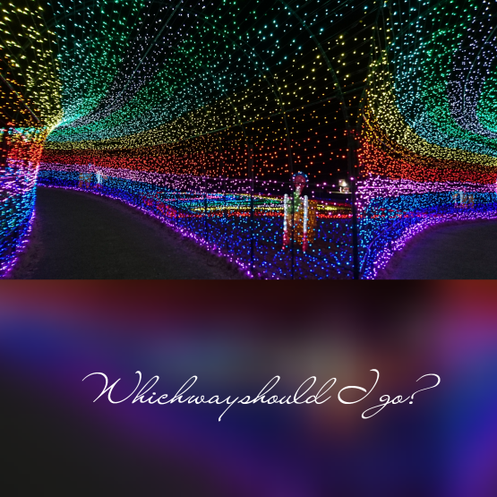 d0347253_20010997.png