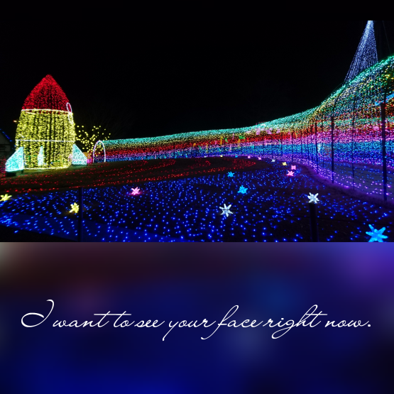 d0347253_20022442.png