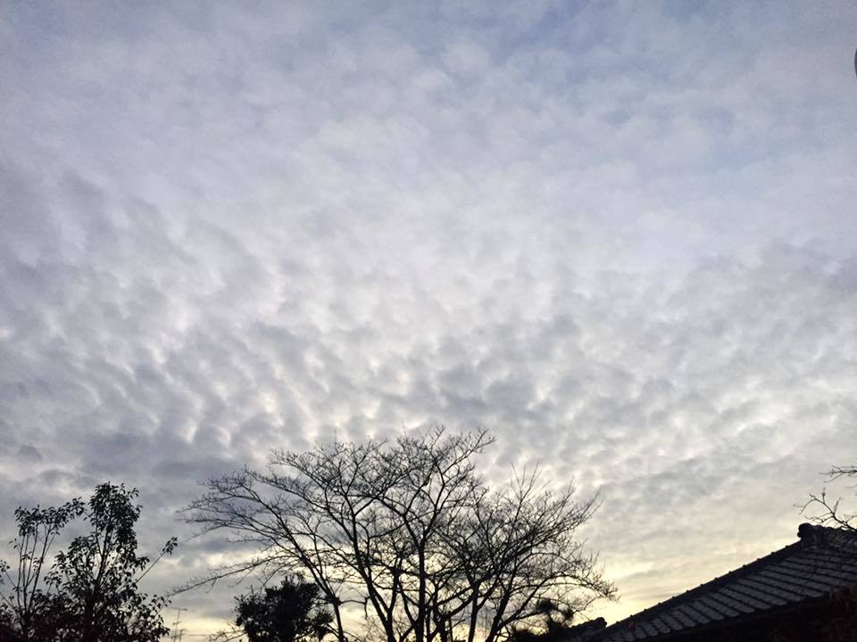 c0115560_13305600.jpg