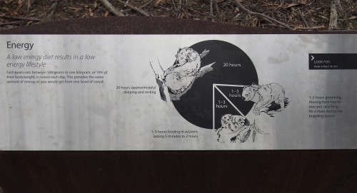 c0351060_11445668.jpg