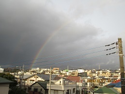 a0055866_15523134.jpg