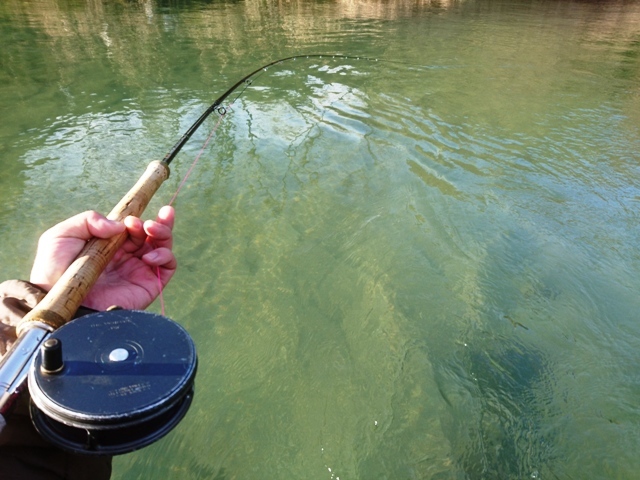 c0157482_10280094.jpg