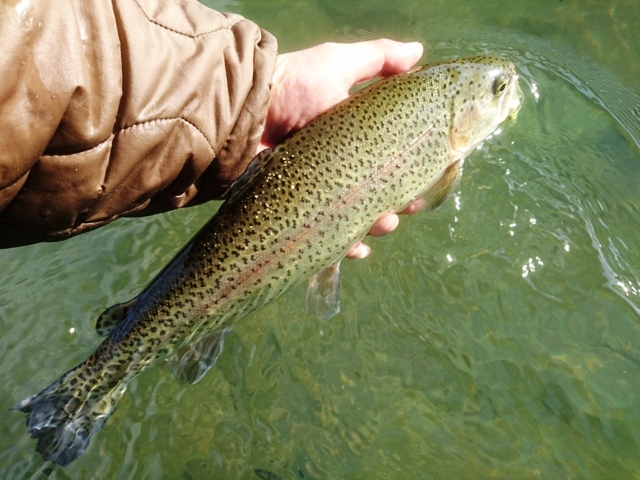c0157482_10281804.jpg
