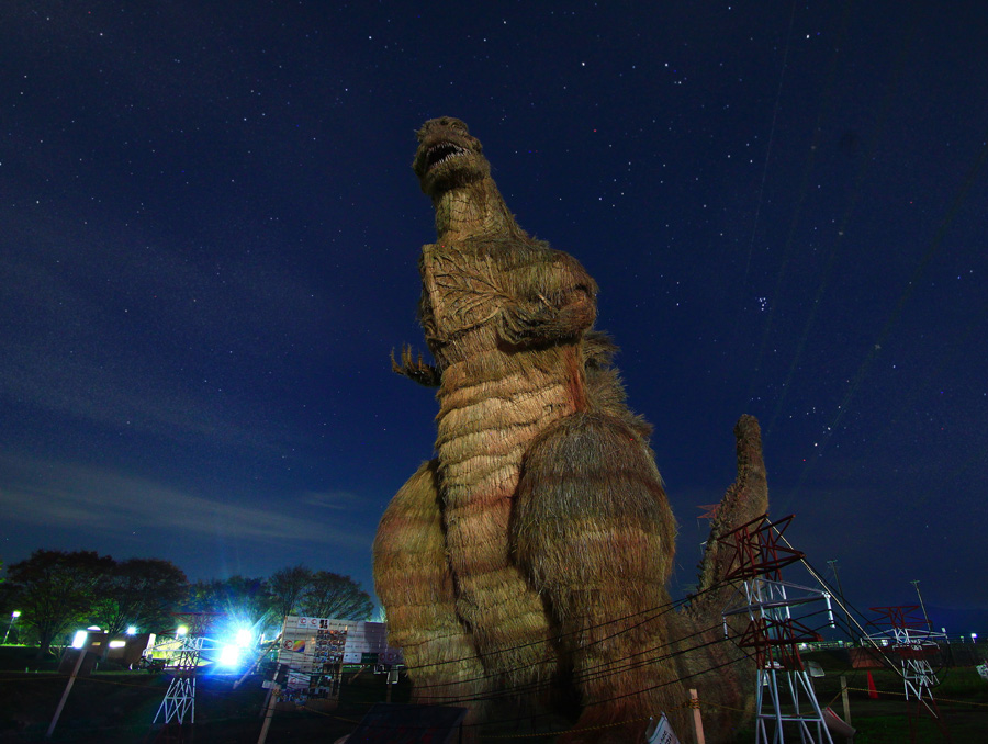 e0093903_1251147.jpg