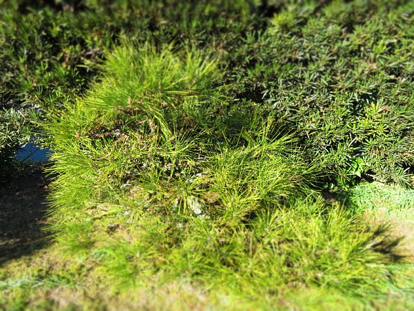 b0341140_1844454.jpg