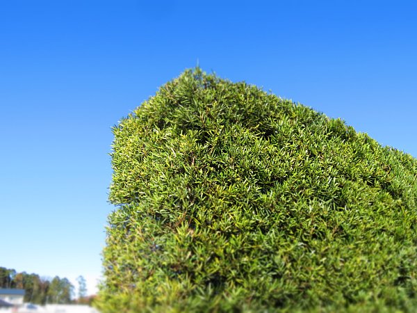 b0341140_18572498.jpg