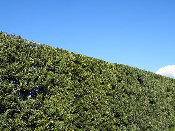 b0341140_185767.jpg