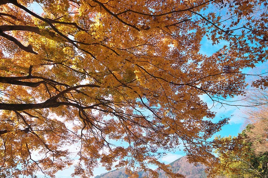 c0067040_00202114.jpg