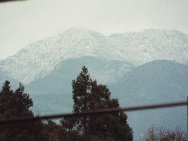 e0164643_173929.jpg