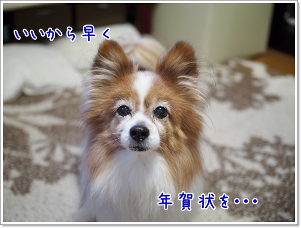 d0013149_00331412.jpg