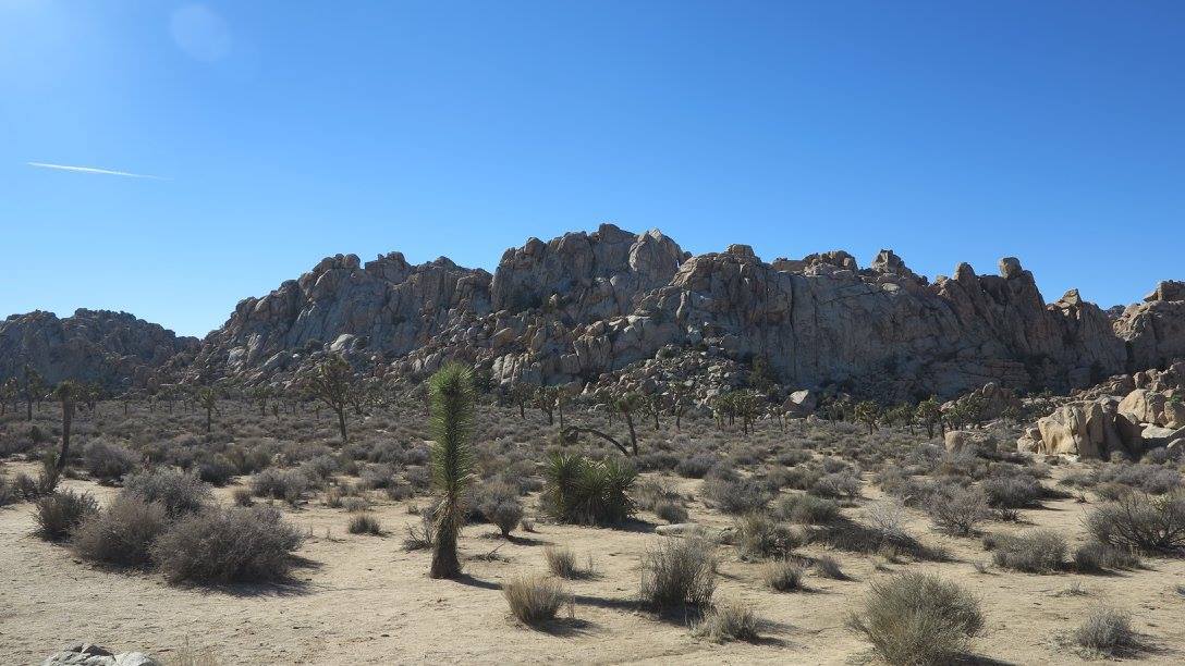 c0355451_06050824.jpg