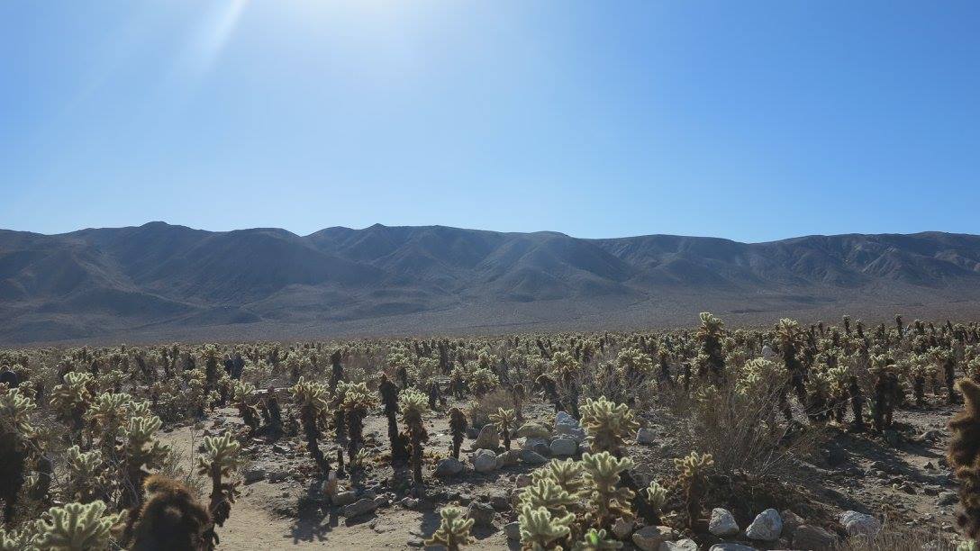 c0355451_06125656.jpg
