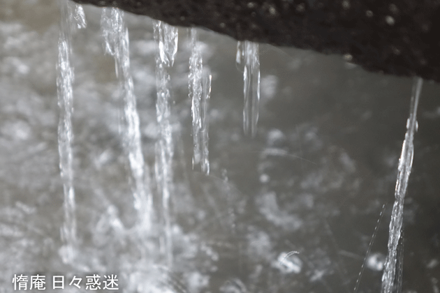 e0346064_16202750.gif