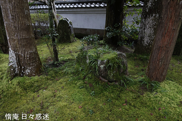 e0346064_16202932.gif