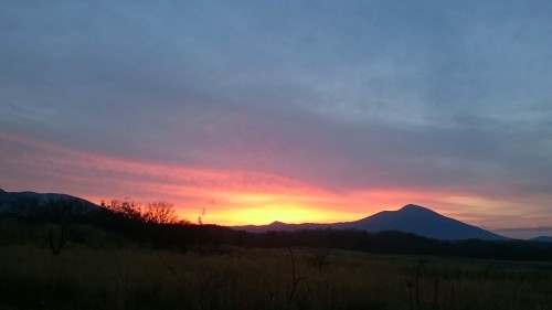 f0082181_17121441.jpg