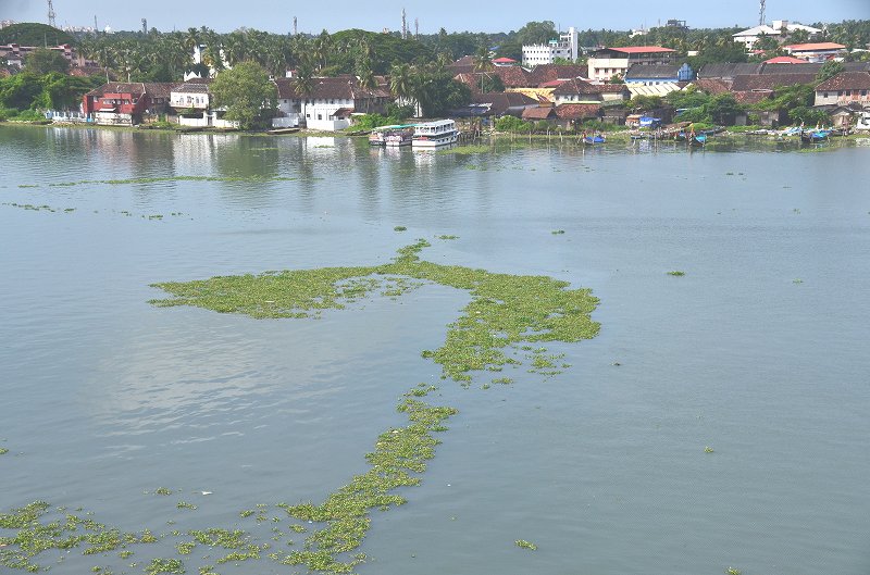e0130986_202164.jpg