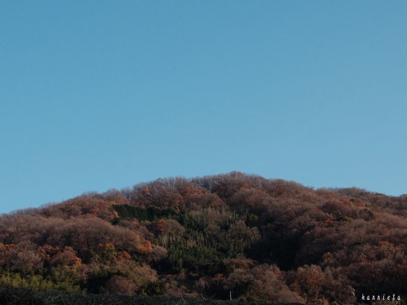 c0152690_21300262.jpg