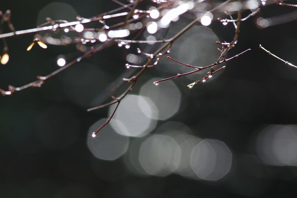 b0223198_20130749.jpg