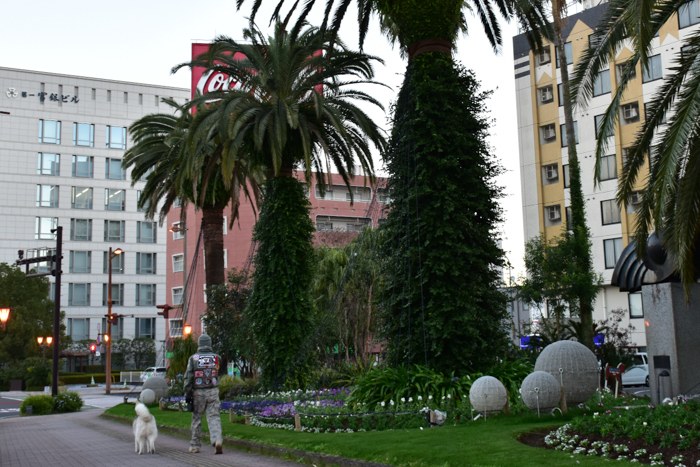 c0049299_22432249.jpg