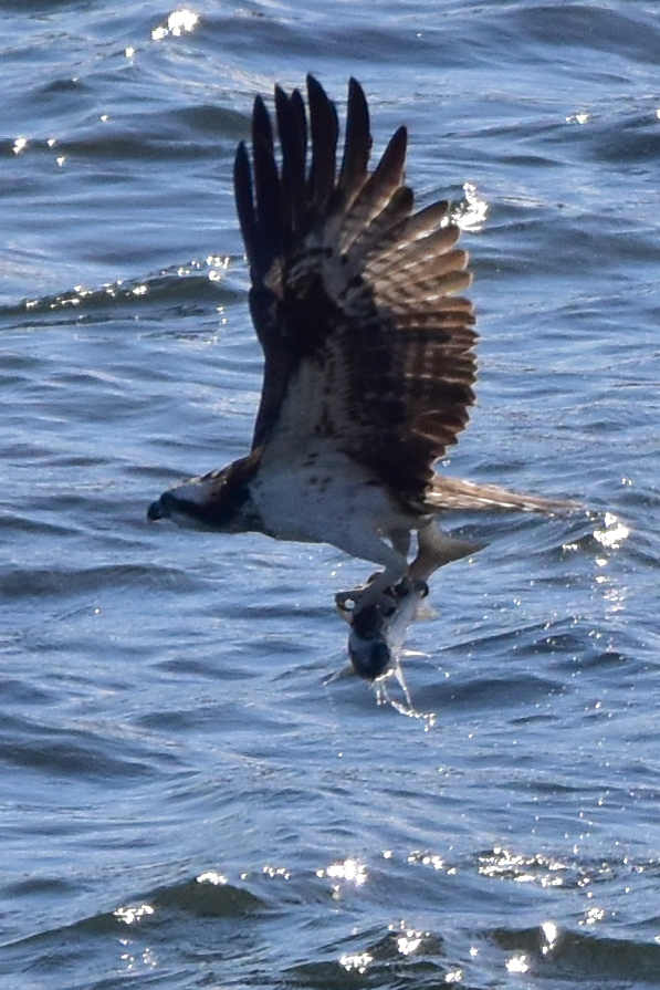 c0049299_22555877.jpg