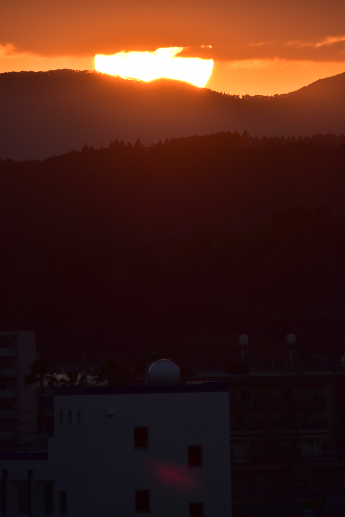 c0049299_23075968.jpg
