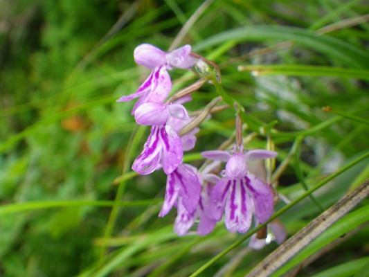 f0187402_9342566.jpg